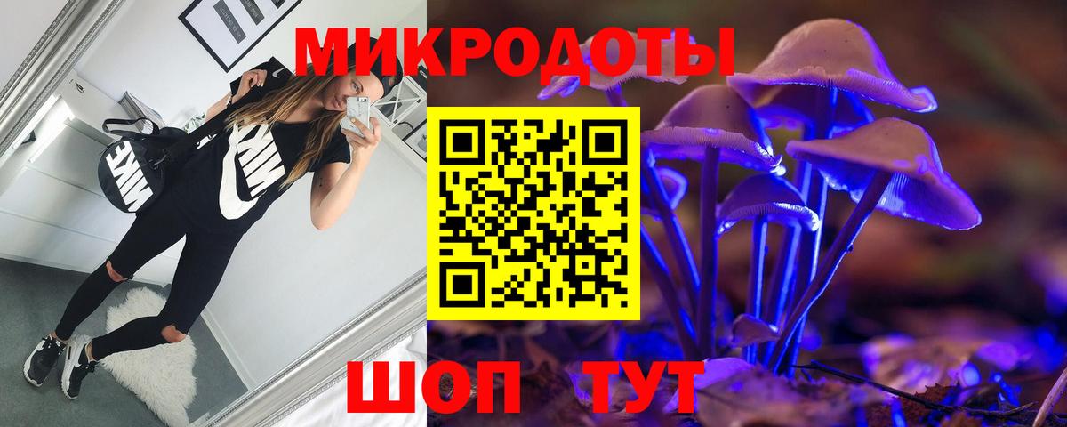 купить закладку  Вход с VPN  Саров  Псилоцибиновые грибы Psilocybe  Псилоцибиновые грибы Cubensis 